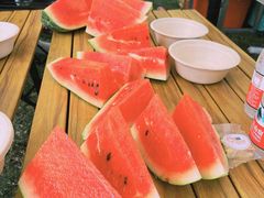 -前小桔亲子创意农场·草莓采摘·露营烧烤