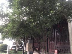 -苏州图书馆(人民路总馆)