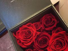 -ROSEONLY诺誓(广州K11店)