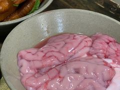 -星鸿社重庆老火锅
