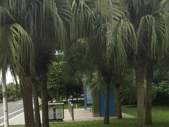 -亚龙湾亚泰商业街