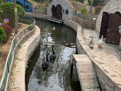 -南宫五洲植物乐园