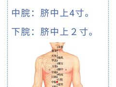 -裕和堂中医推拿艾灸(太古汇臻品店)