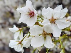 -同济大学(嘉定校区)