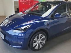-TESLA 特斯拉(郑州正弘城体验店)