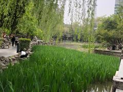 -莲湖公园