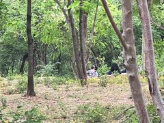 -北京西山国家森林公园