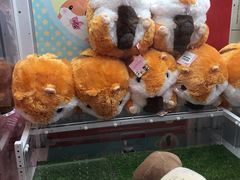 -LLJ夹机占(清河万象汇店)