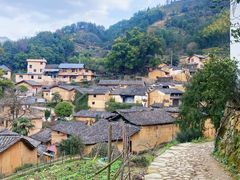 -杨家堂村