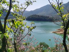 -广州市流溪河国家森林公园