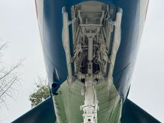 -成飞公园