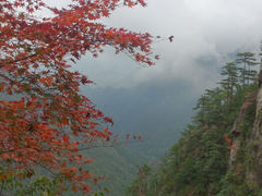 android_upload_pic-大明山自然探索公园