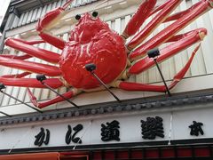 -蟹道乐(道顿堀本店)