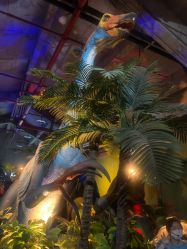 -恐龙探索乐园(磁器口店)