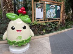 -国信南山温泉