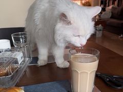 -天津前进宠物医院(前进道店)