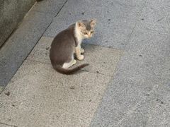 -海珠湖公园