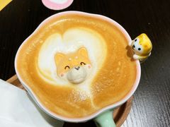 -逗柴咖啡屋·狗咖猫咖宠物桌游