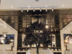 -Dior迪奥(上海世茂广场店)