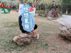 南门-火炉山森林公园