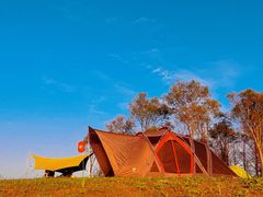 -春花秋色城市公园