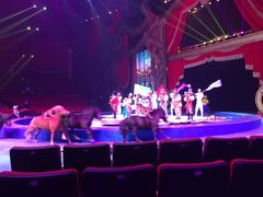 -珠海横琴长隆《卡卡虎奇遇记》