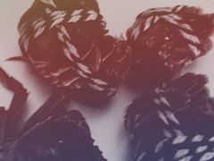 -丫丫蟹庄·苏式园林农家乐·阳澄湖大闸蟹(阳澄湖莲花岛店)