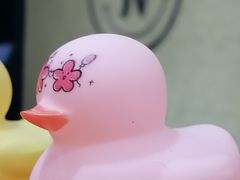 -学习谷日语培训日本留学·多语种外语教学(海淀人大分部)