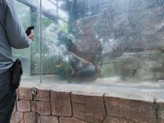 -泉州海丝野生动物世界