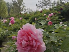 -太阳宫公园