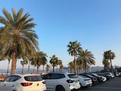 -东钱湖小普陀景区