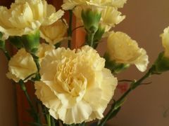 -奥美花店(天津市住房公积金管理中心河东管理部店)