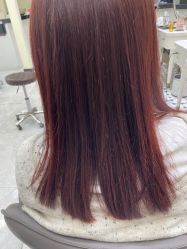 -范美特接发·染发漂发