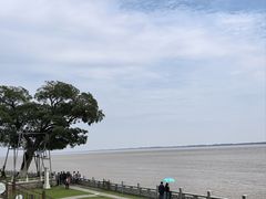-观潮胜地公园
