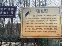 -南京金牛湖风景区