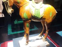 -宁夏博物馆