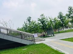 -蟠龙天地-P2停车场