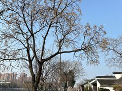 -枫桥景区