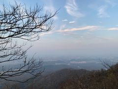 -紫金山山顶公园