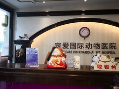 -宠爱国际动物医院·消化内科·心肾内科·ISFM猫友好(望京店)