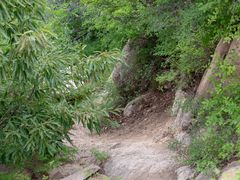-北京鹫峰国家森林公园