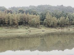 -苏州清山会议中心