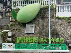 -鼓岭旅游度假区
