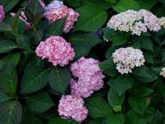 -常州古运河南大街文化旅游区-人民公园