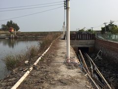 -北海金海湾红树林生态旅游区