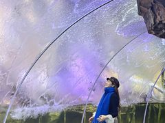 -哈尔滨波塞冬海底世界