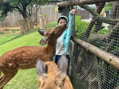 -泉州海丝野生动物世界