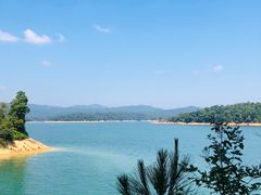 -广州市流溪河国家森林公园