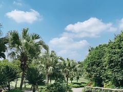 -观澜湖高尔夫球会