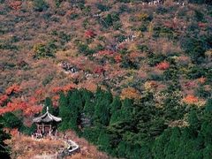 -香山公园-东宫门售票处